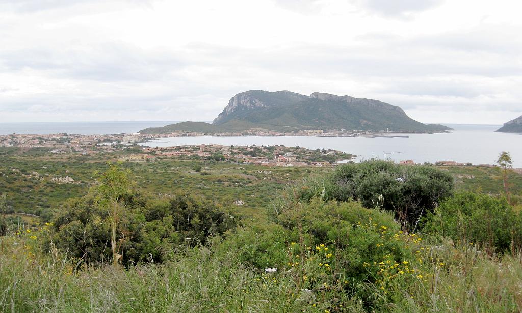 182 - Copie.JPG